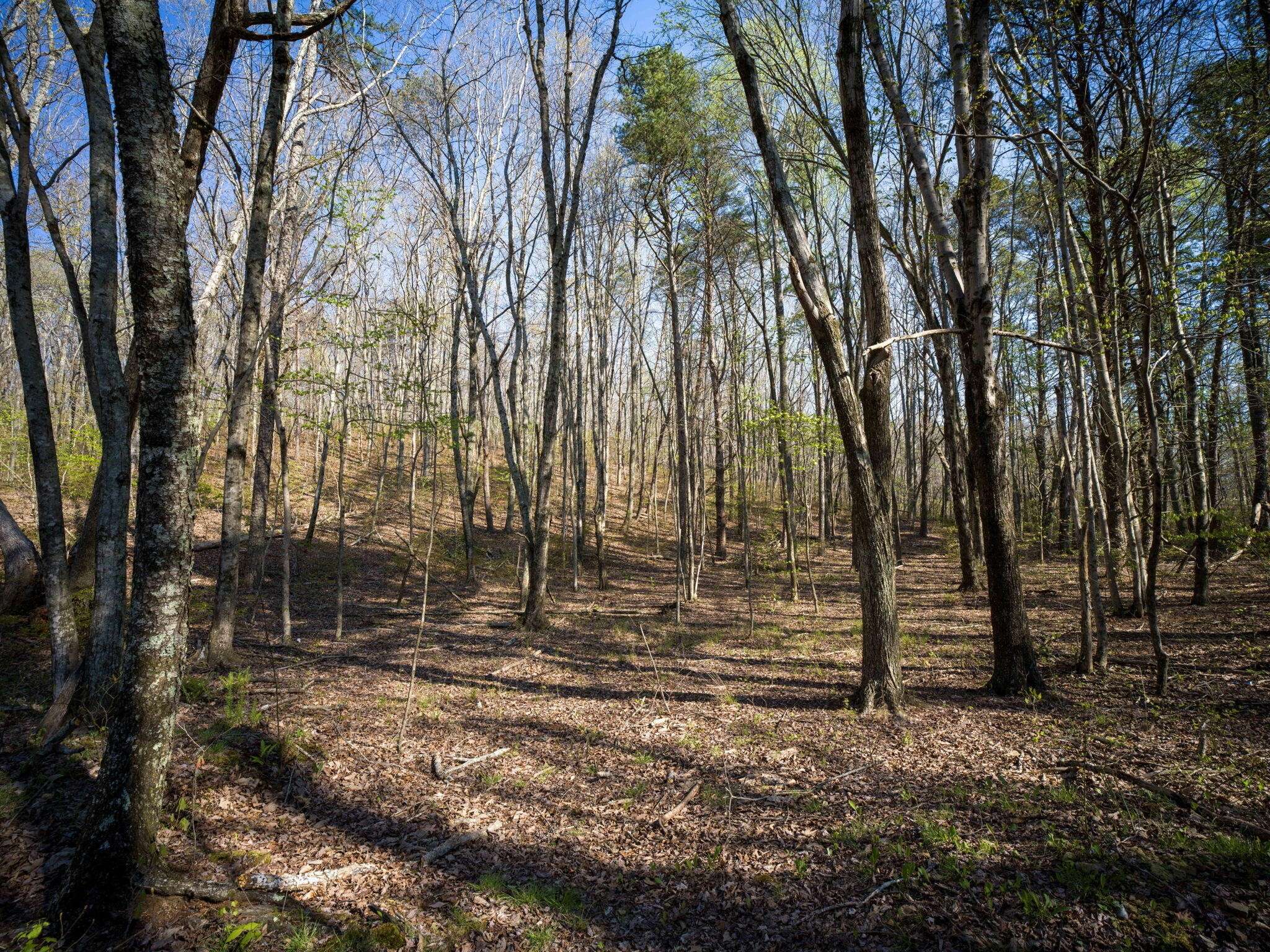 3916 Cummings Road, Chattanooga, TN 37419