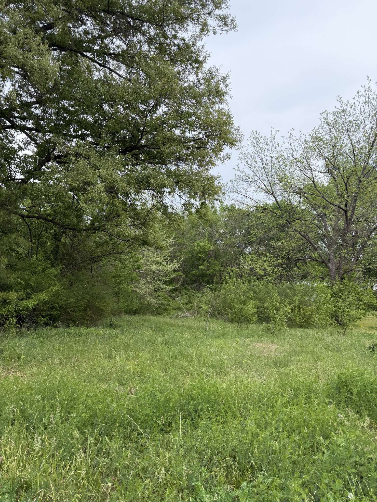 251 Highway 45 #S, Bradford, TN 38316