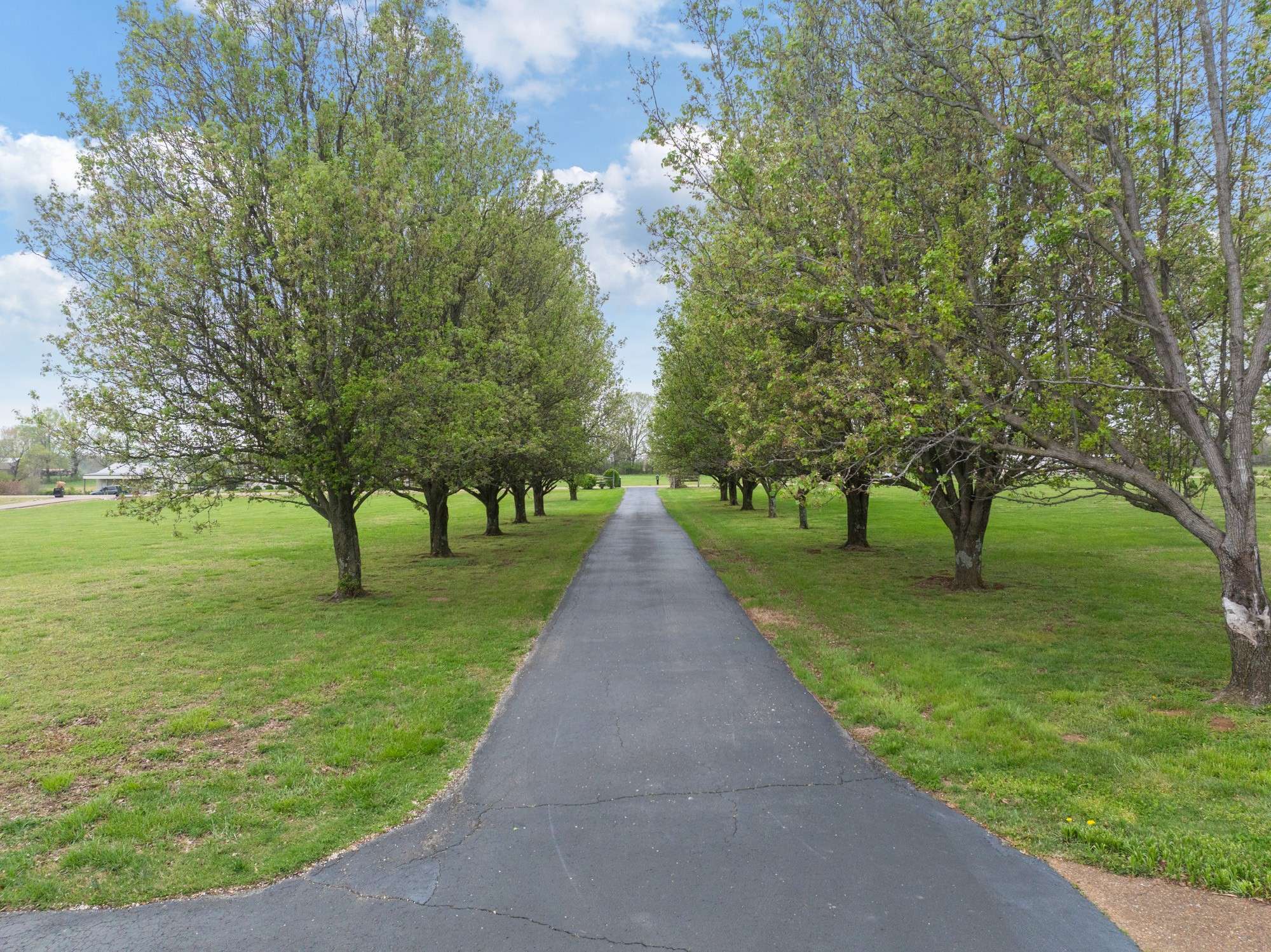 6544 Highway 436, Mc Kenzie, TN 38201