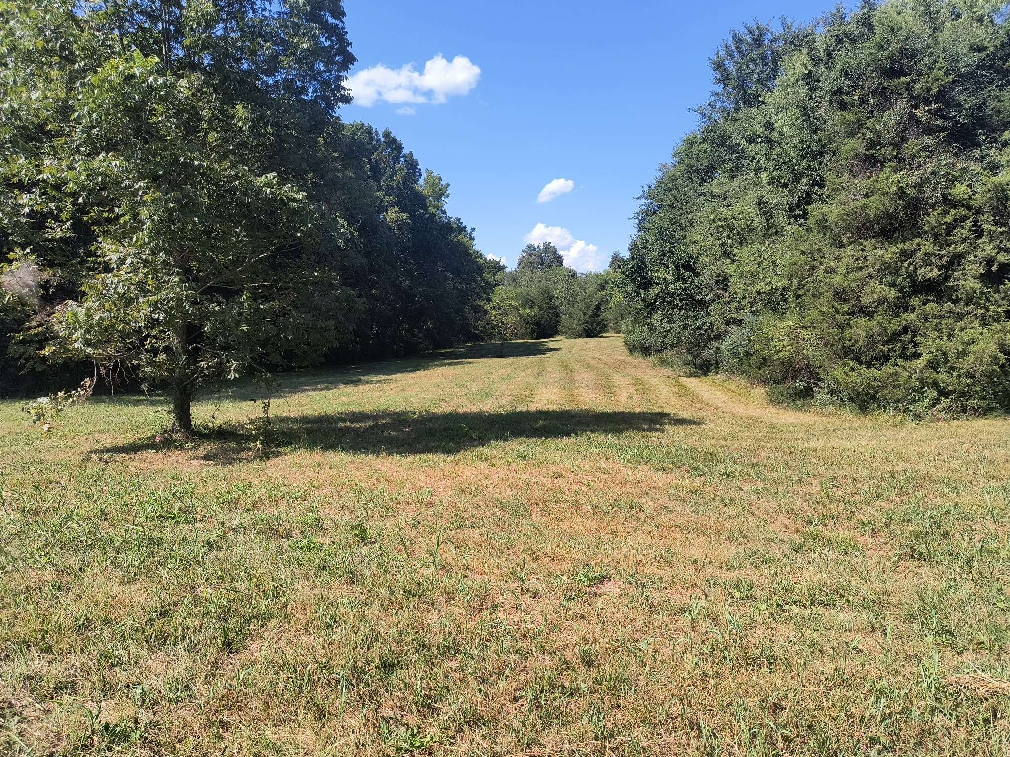 0 Hwy 41 A, Shelbyville, TN 37160