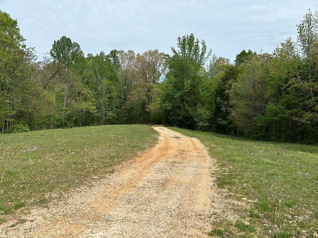 0 Elkhorn Rd, Springville, TN 38256