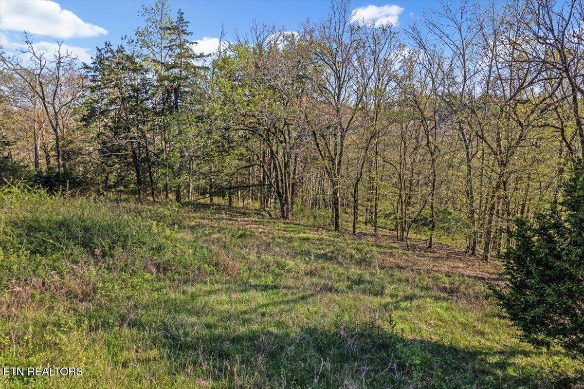 1624 Bartlett Hollow Rd, Petersburg, TN 37144