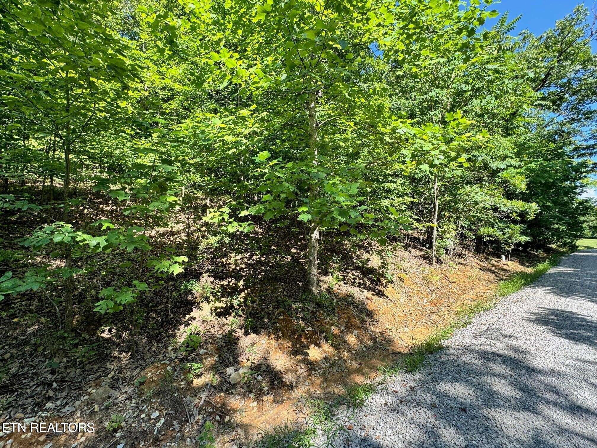 626 N Pointe Tr, Allons, TN 38541