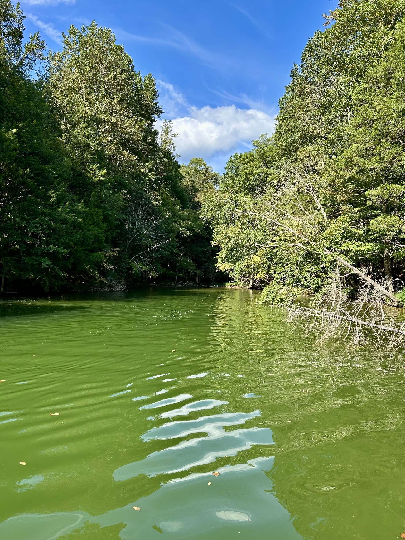 190 JD Lane, Lynchburg, TN 37352