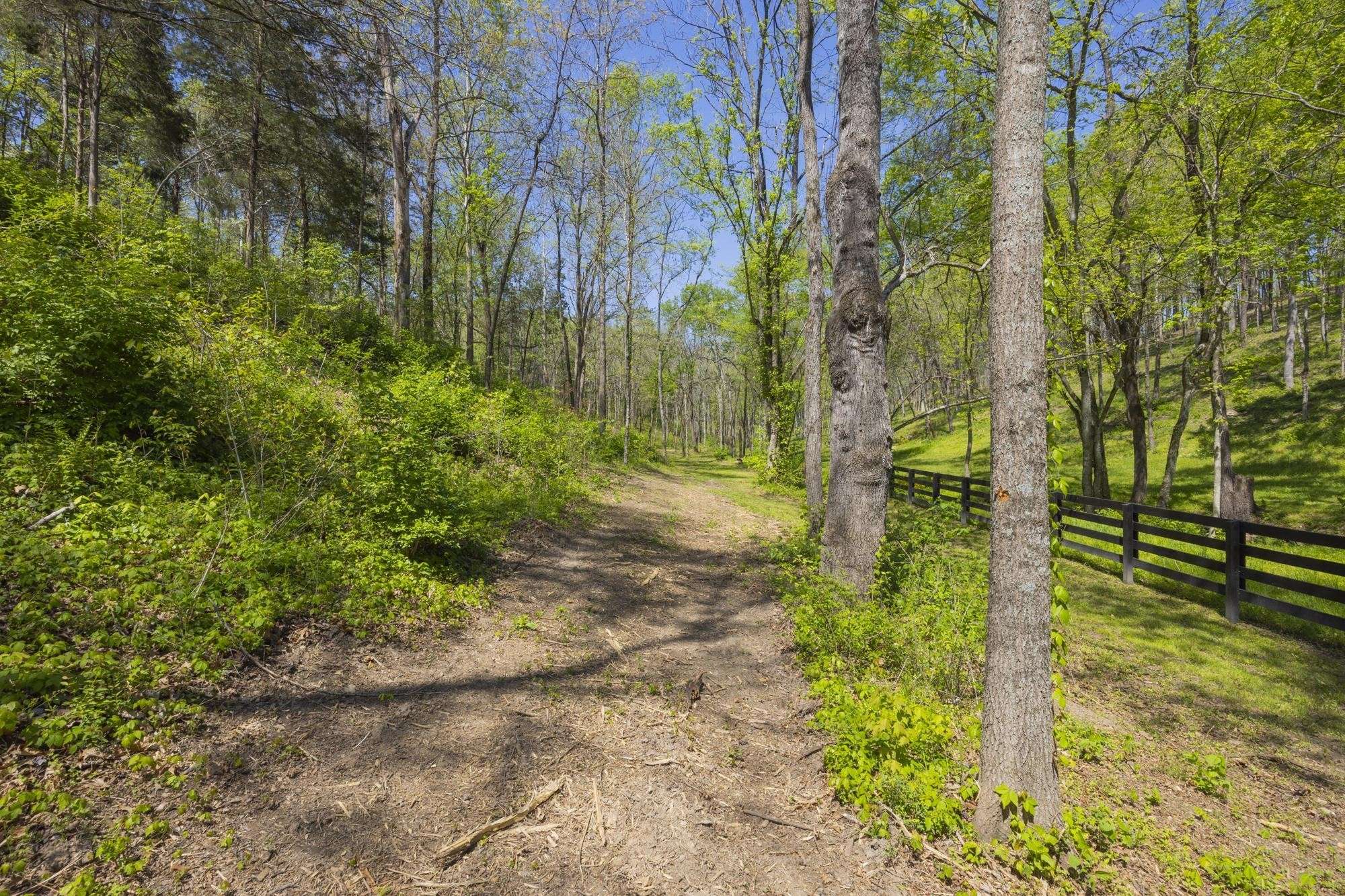 1 Johnson Hollow Road, Thompsons Station, TN 37179