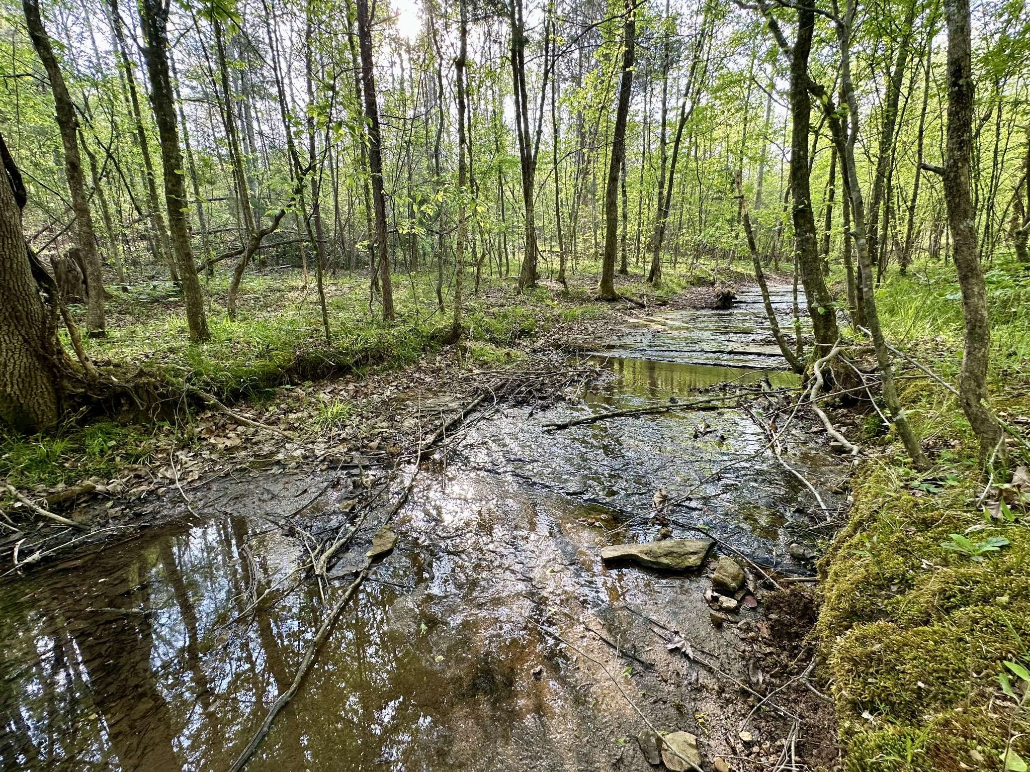 828 McCord Hollow Rd, Hohenwald, TN 38462