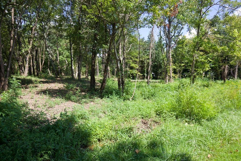 204 Vandy Cir, Sparta, TN 38583
