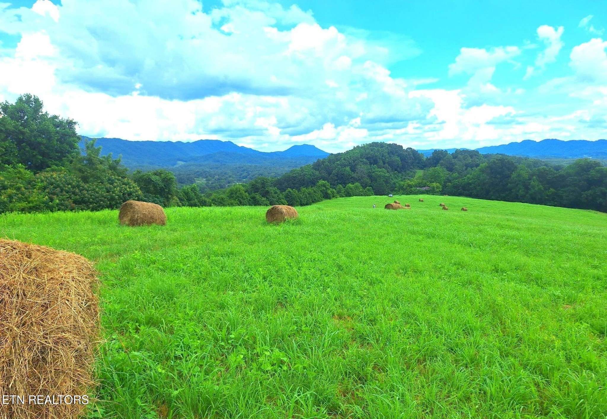 305 Race Track Rd, Rogersville, TN 37857