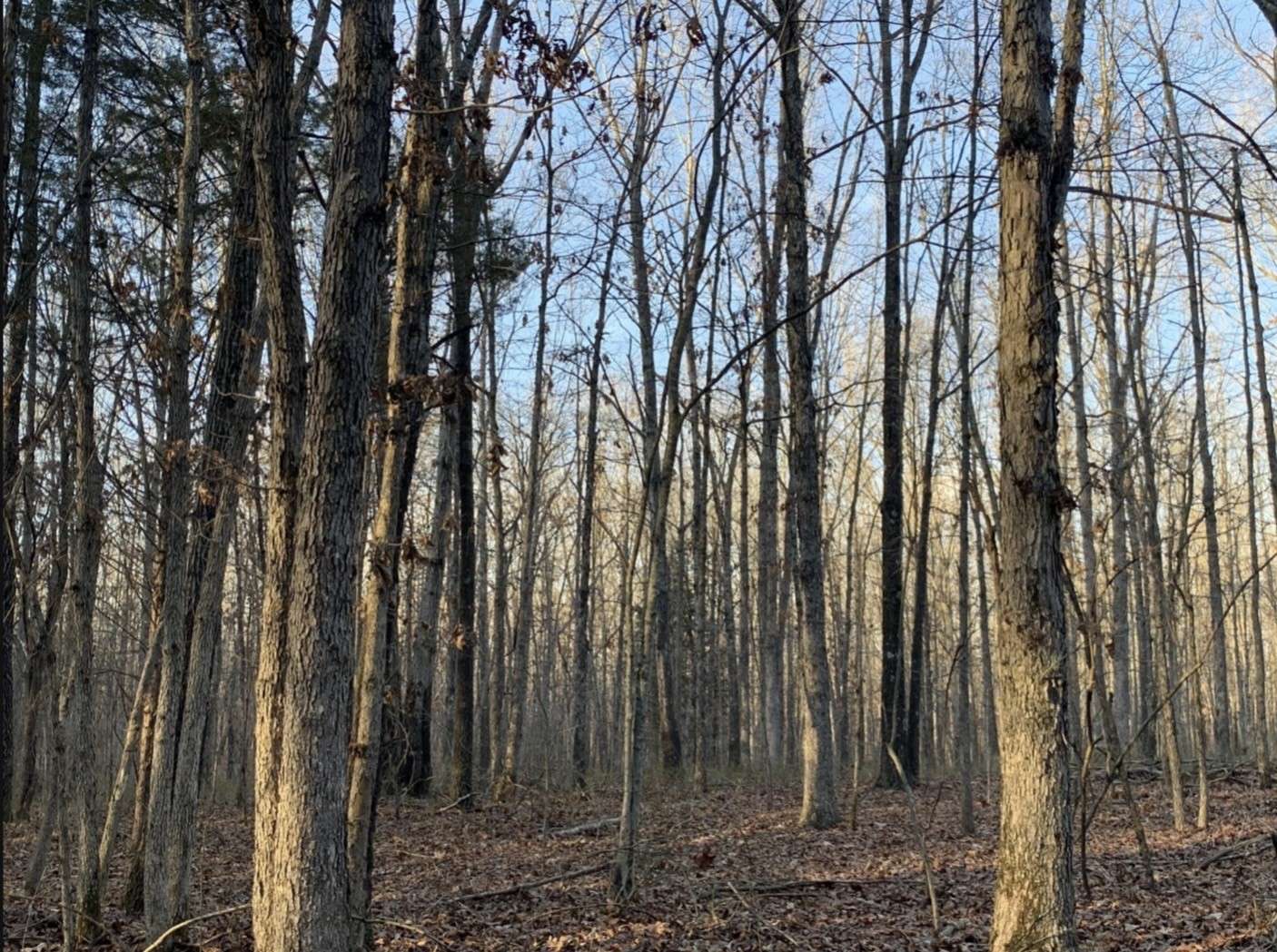 3 Summertown Hwy, Summertown, TN 38483