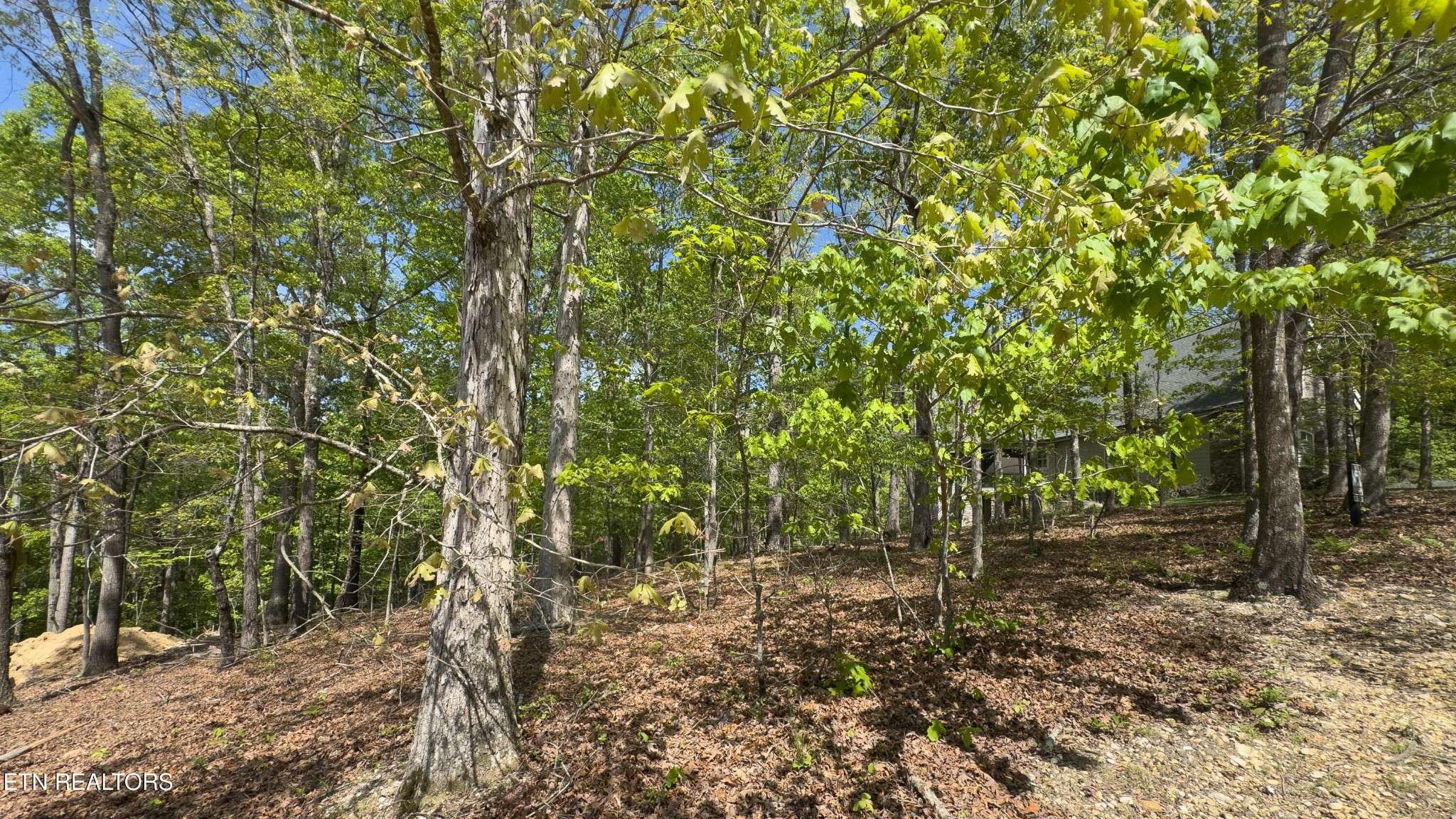2085 Old Dogwood Tr, Loudon, TN 37774