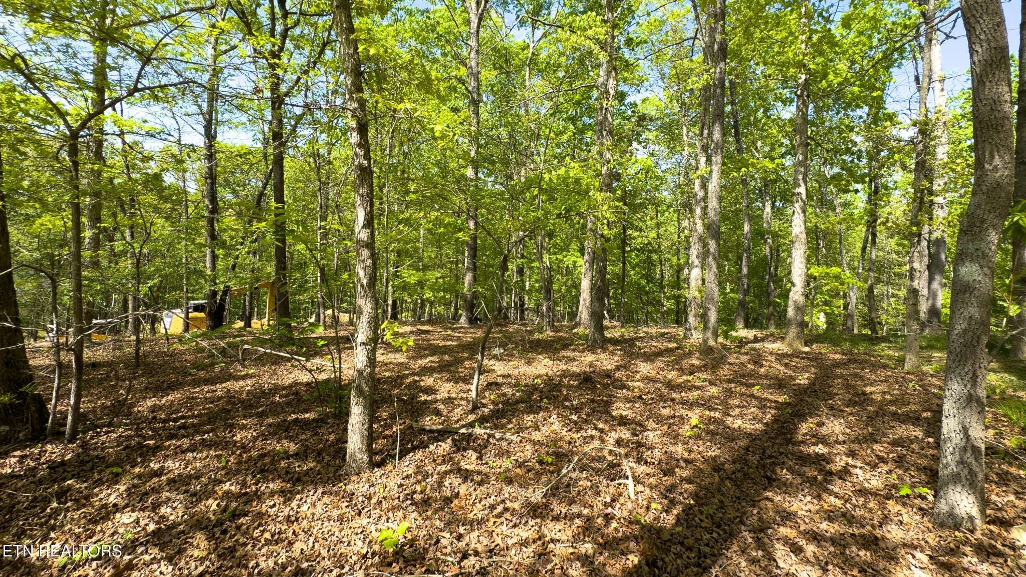 2085 Old Dogwood Tr, Loudon, TN 37774