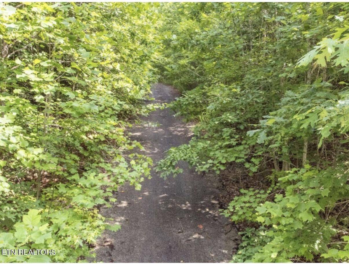 228 Crystal Springs Rd, Rockwood, TN 37854