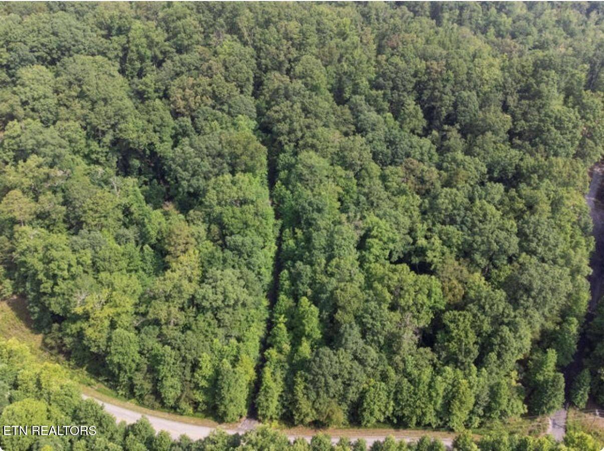 228 Crystal Springs Rd, Rockwood, TN 37854