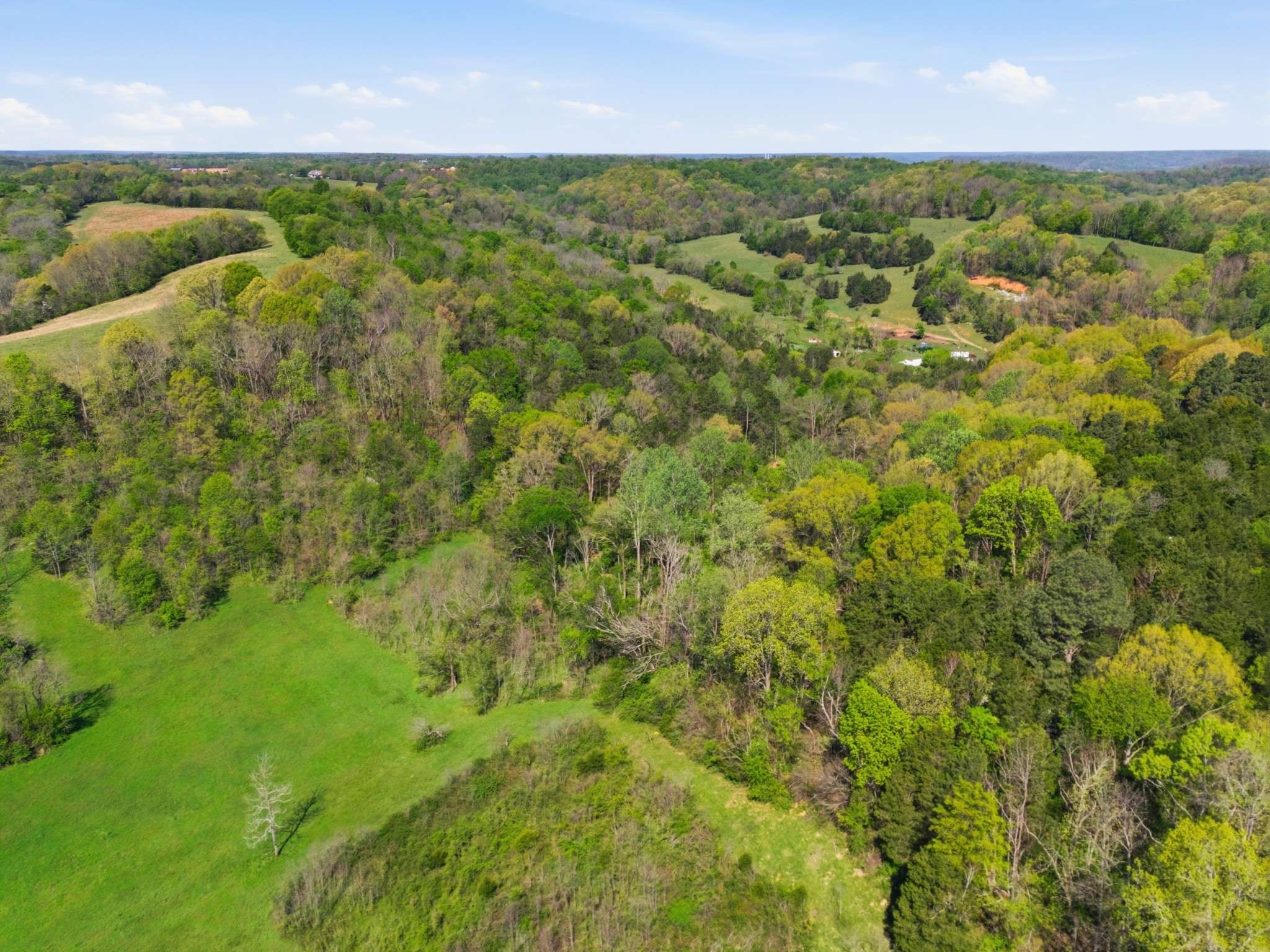66 Thompson Hollow Rd, Taft, TN 38488