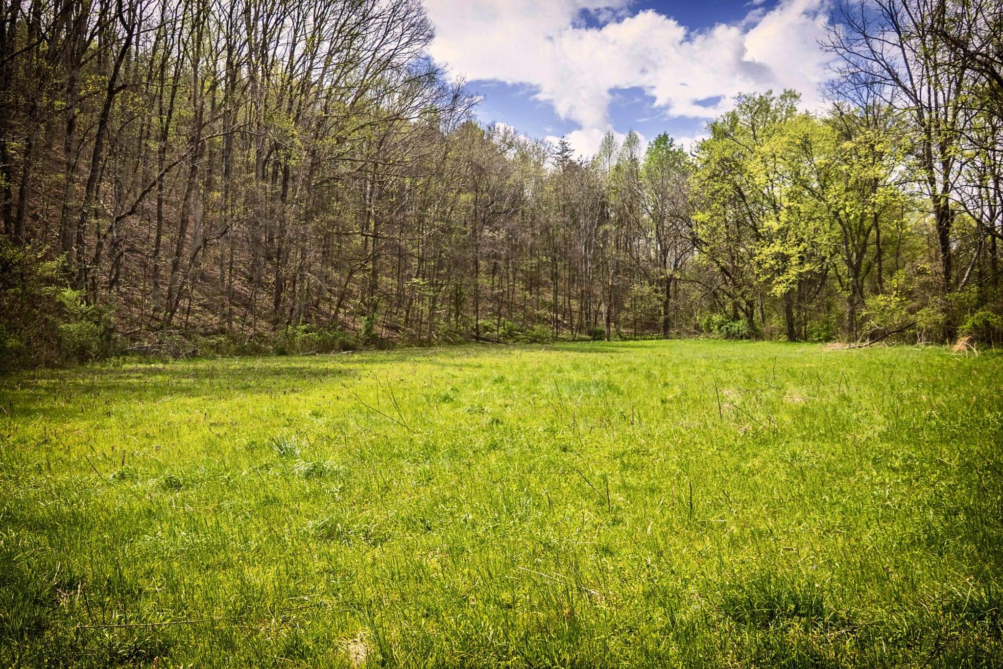0 Gothard Road, Sale Creek, TN 37373