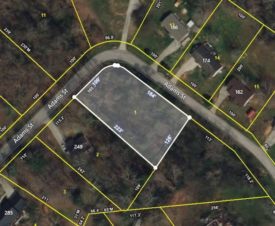 0 Adams Street, Spring City, TN 37381