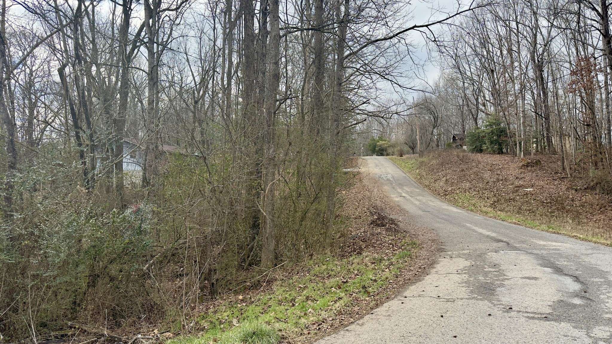 0 Adams Street, Spring City, TN 37381