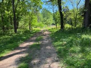0 Murphy Lane, Culleoka, TN 38451