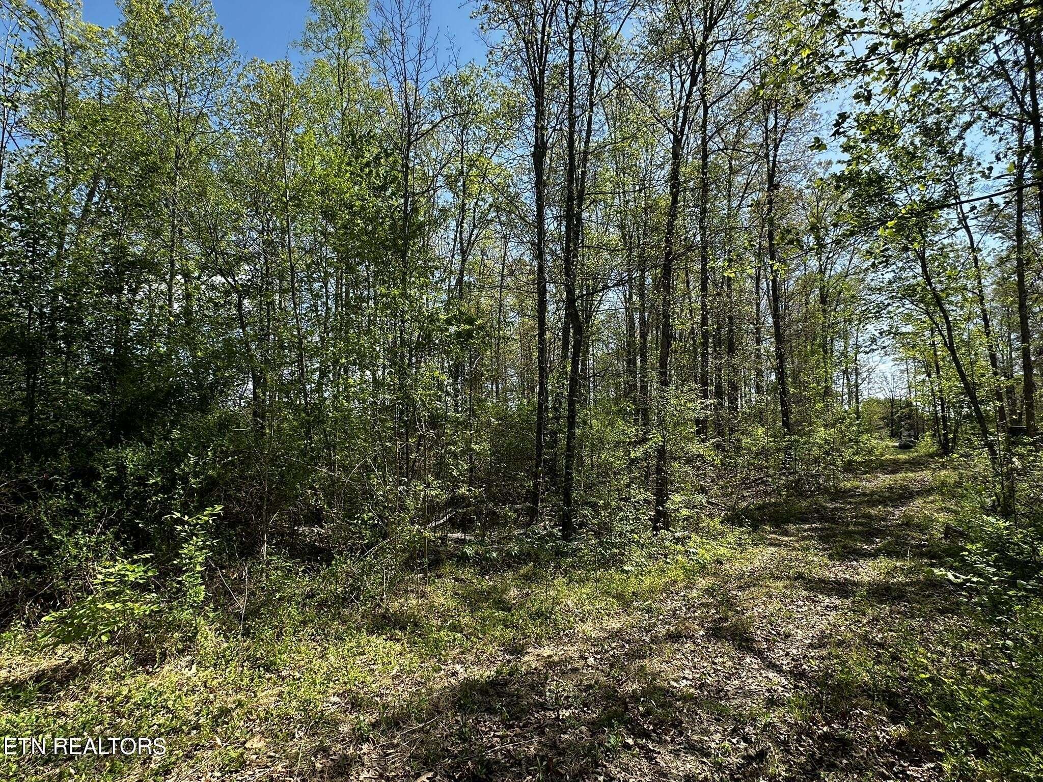 105 Johnson Hollow Lane, Greeneville, TN 37745