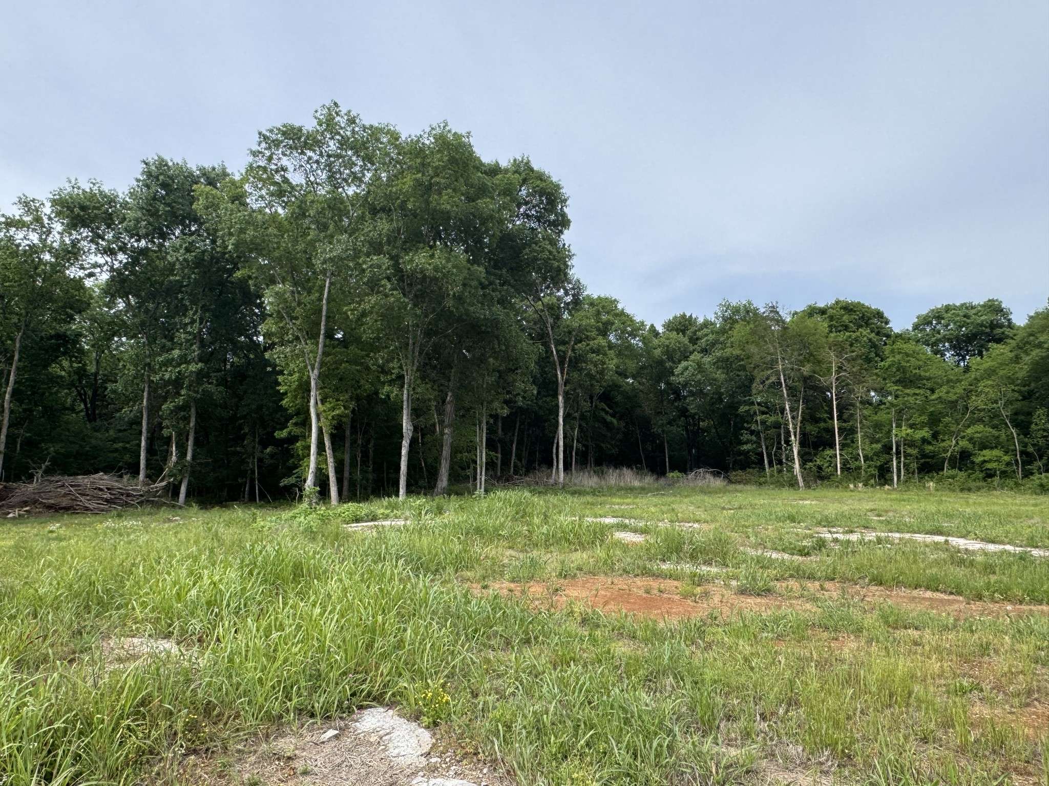 0 Old Nashville Dirt Rd, Shelbyville, TN 37160