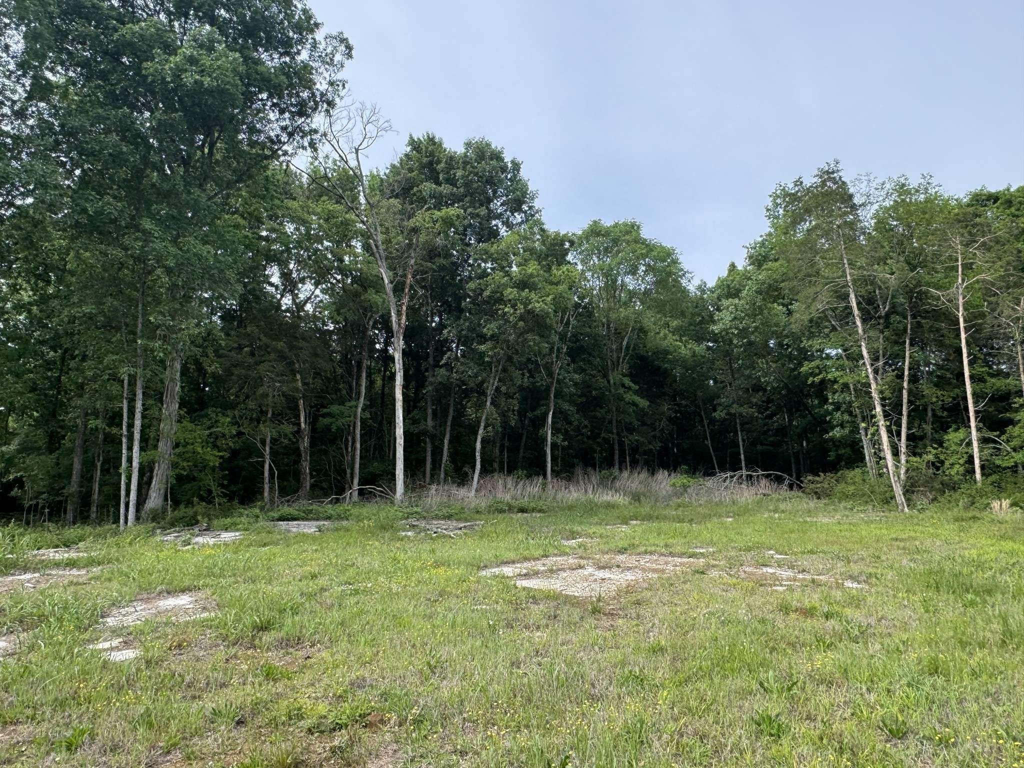 0 Old Nashville Dirt Rd, Shelbyville, TN 37160