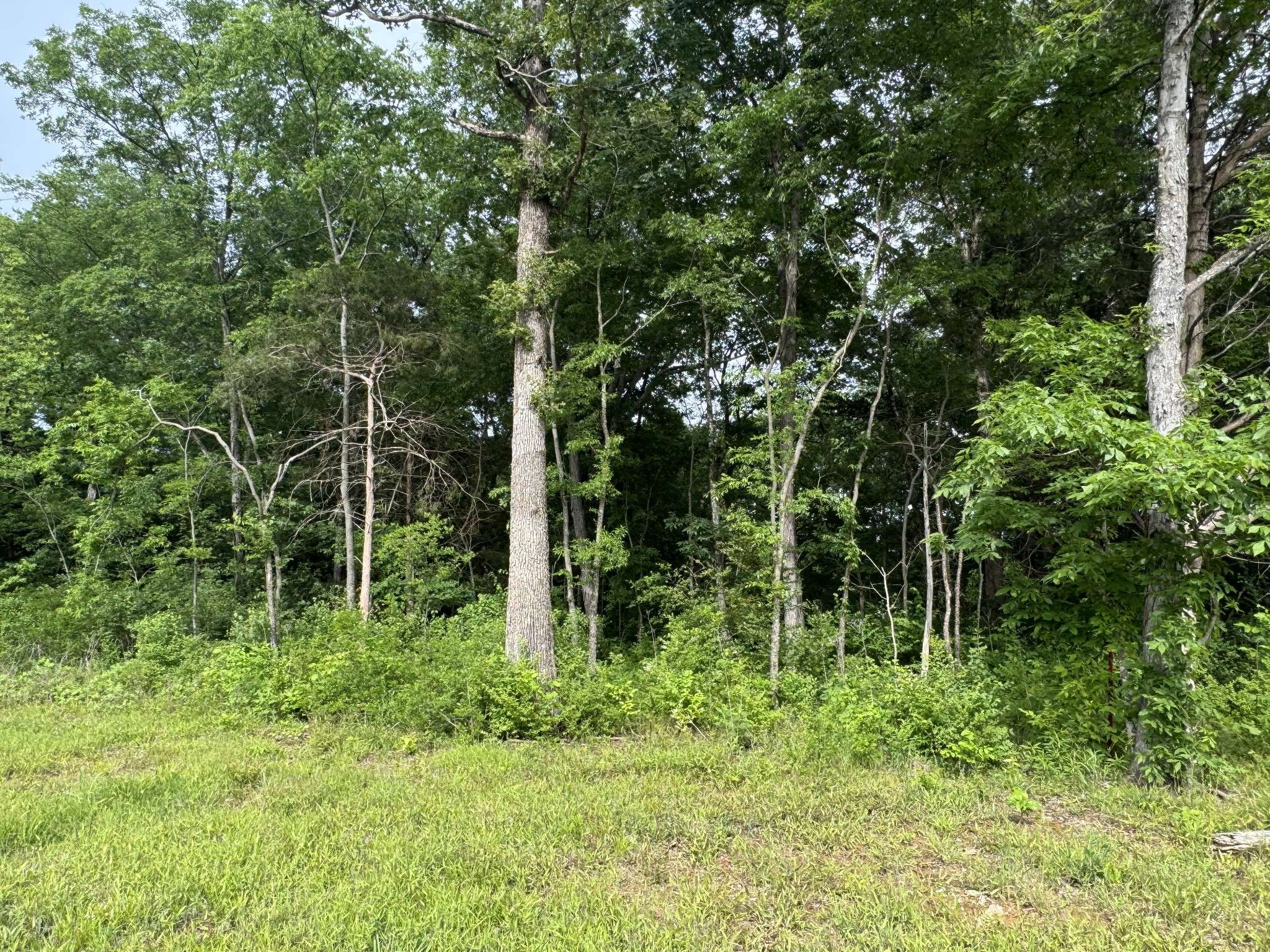 0 Old Nashville Dirt Rd, Shelbyville, TN 37160