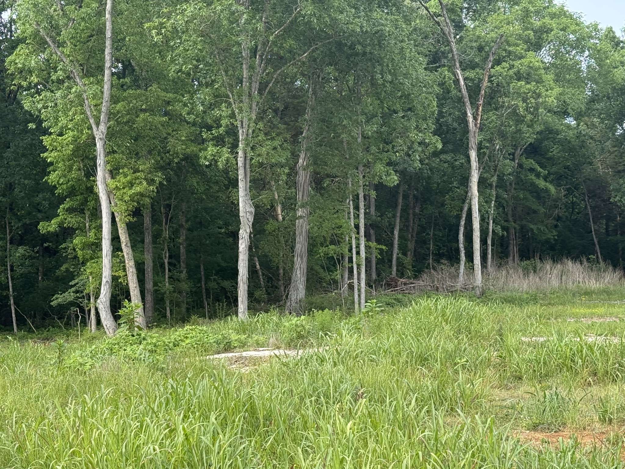 0 Old Nashville Dirt Rd, Shelbyville, TN 37160