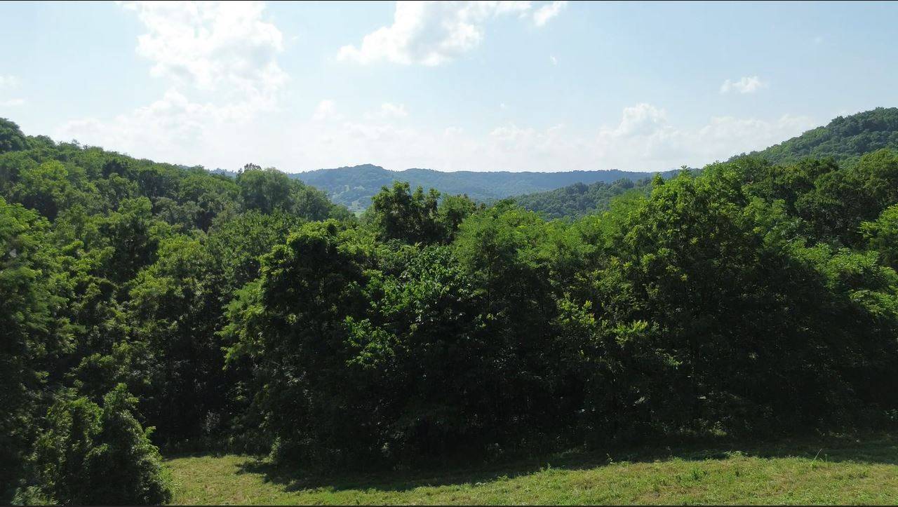 0 Hackett Hollow Ln, Pleasant Shade, TN 37145
