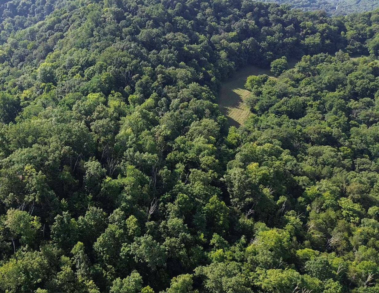 0 Hackett Hollow Ln, Pleasant Shade, TN 37145