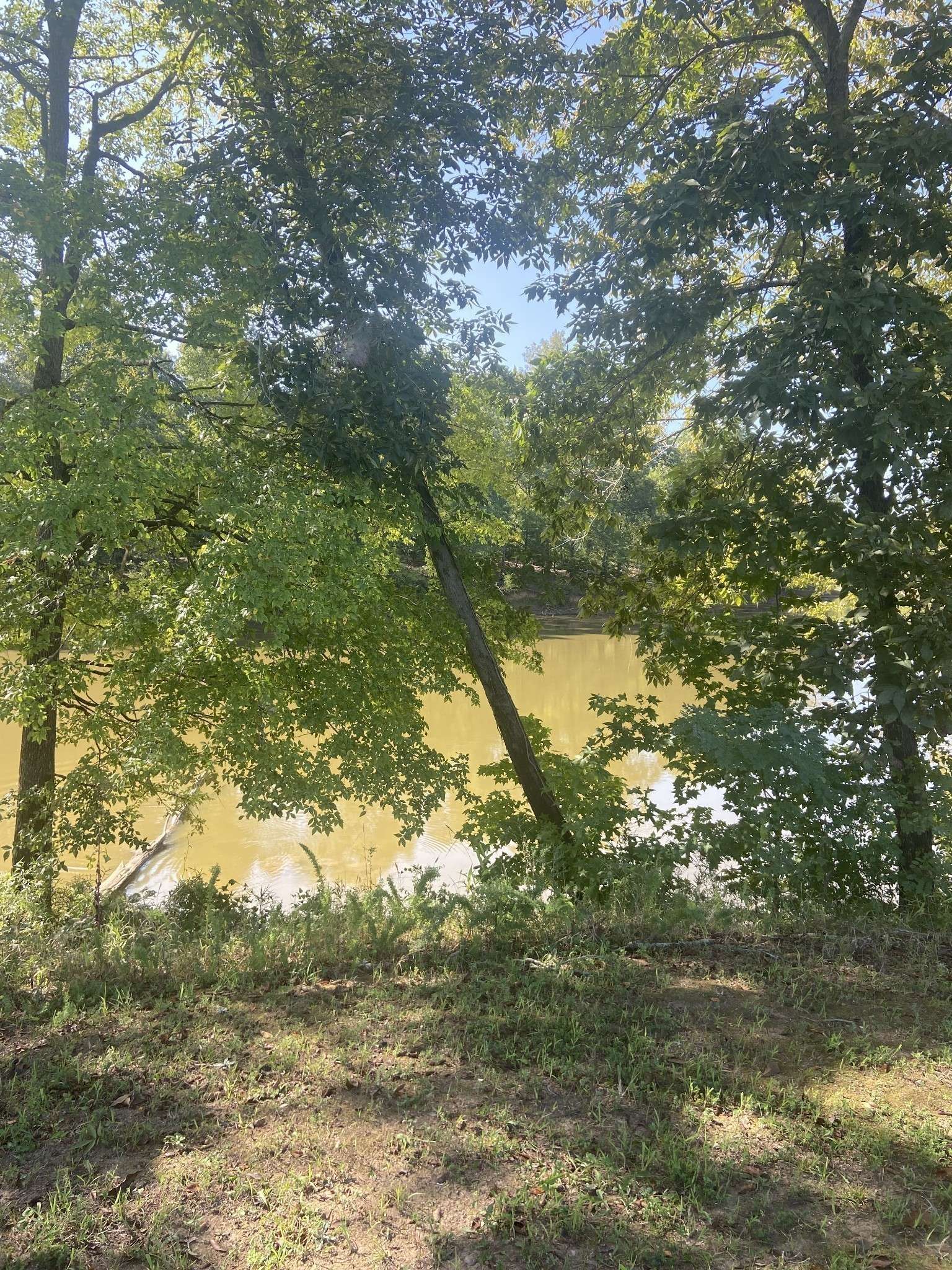 390 Duck Blind Rd, Clifton, TN 38425