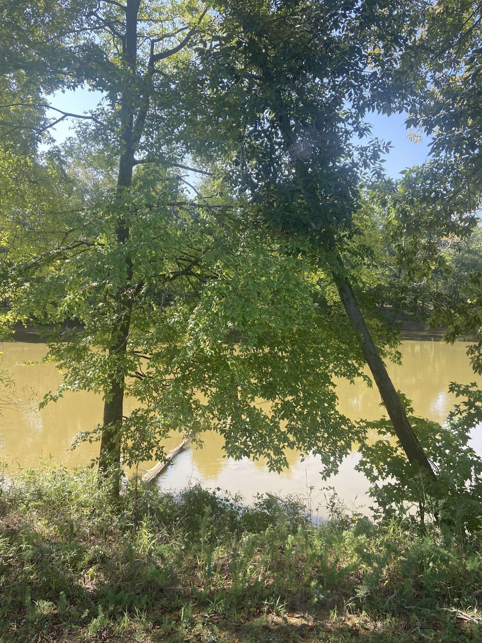 390 Duck Blind Rd, Clifton, TN 38425