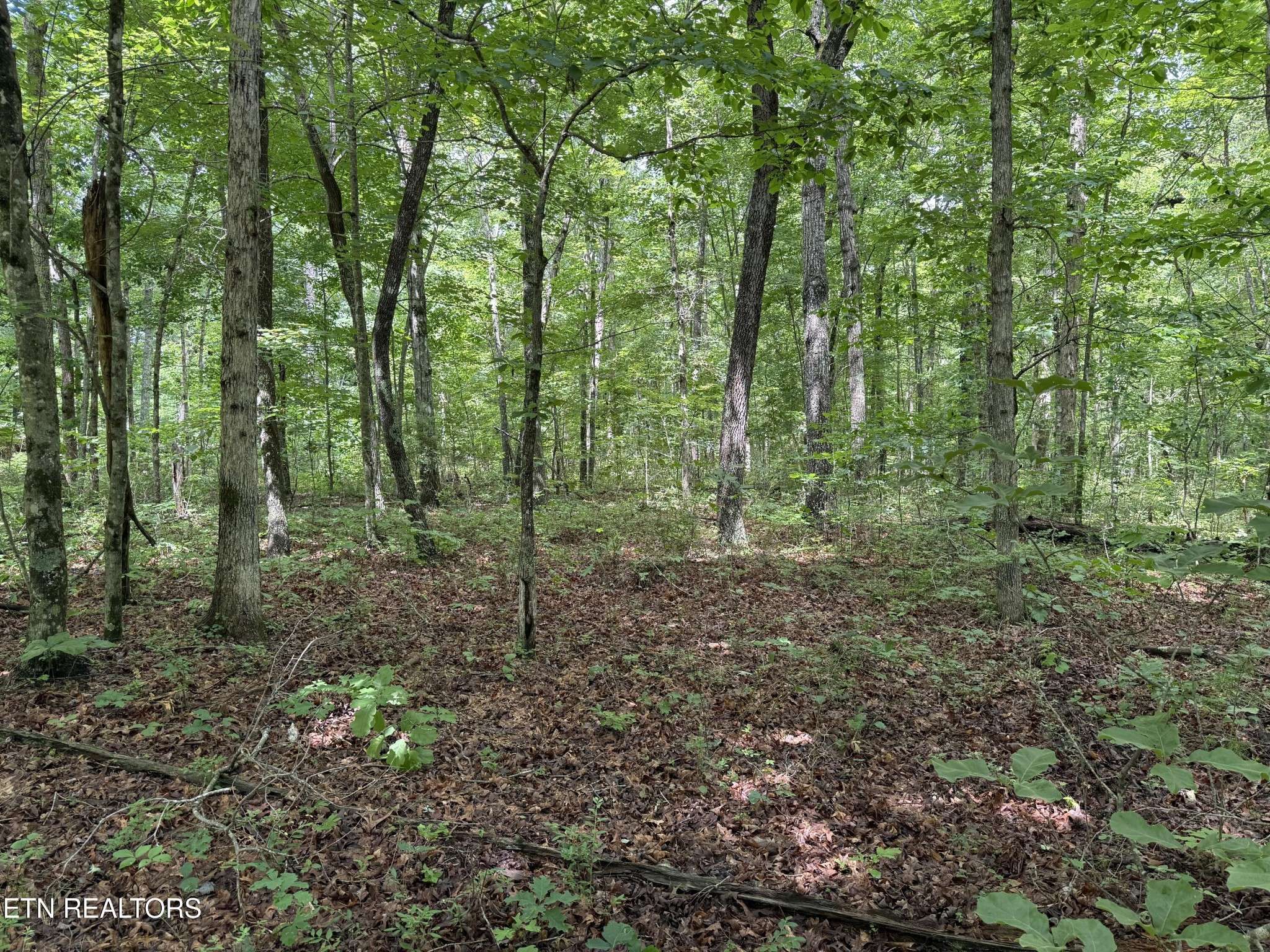 0 Icy Cove Tr, Monterey, TN 38574
