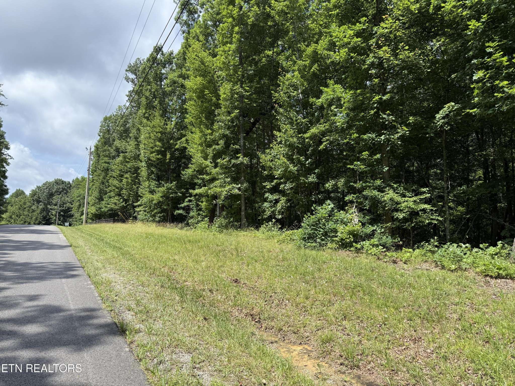 0 Icy Cove Tr, Monterey, TN 38574
