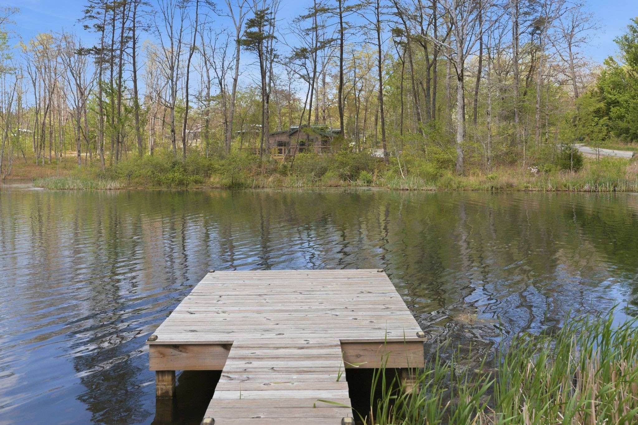 84 Lillypad Ln, Tracy City, TN 37387