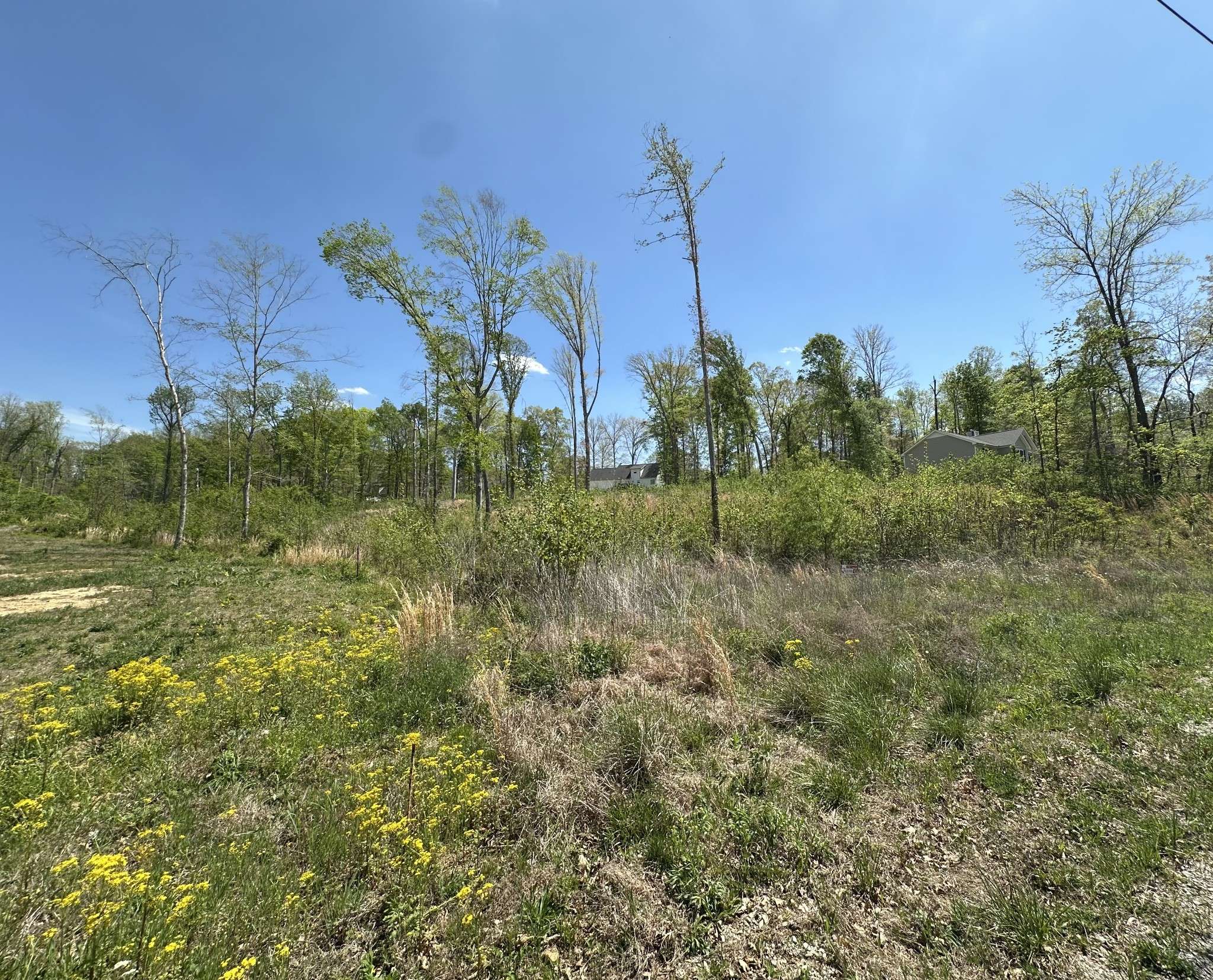 0 Murrell Rd, Dickson, TN 37055