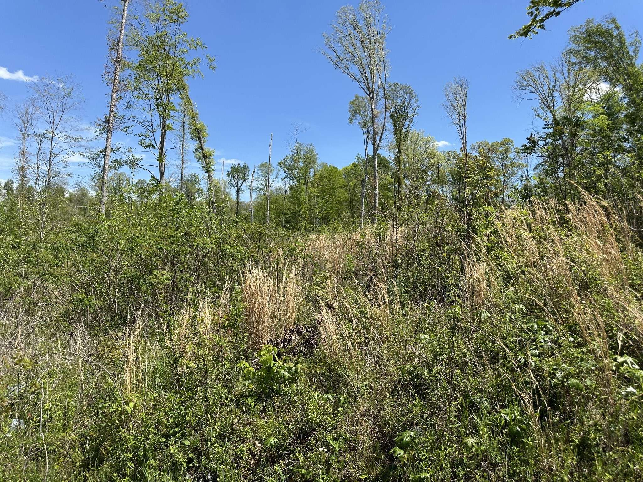 0 Murrell Rd, Dickson, TN 37055