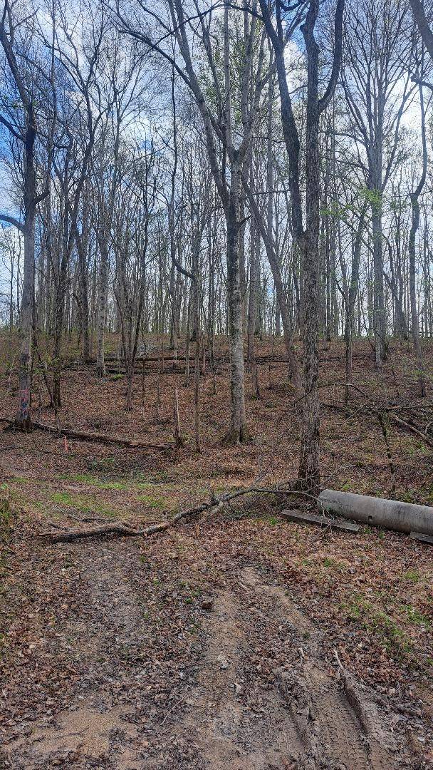0B Napier Rd, Hohenwald, TN 38462