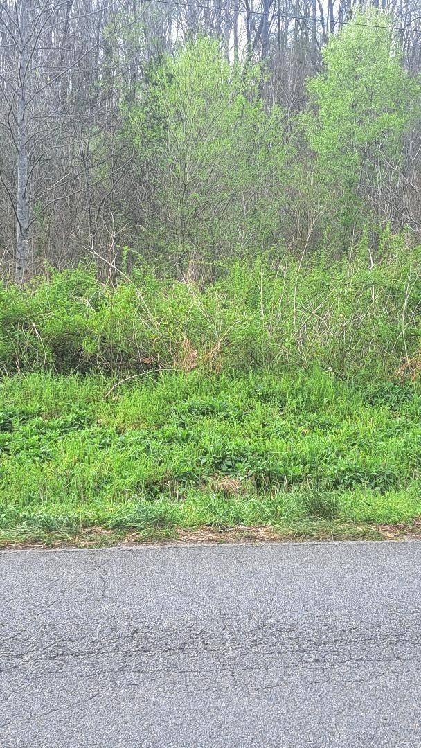 0 Napier Rd, Hohenwald, TN 38462