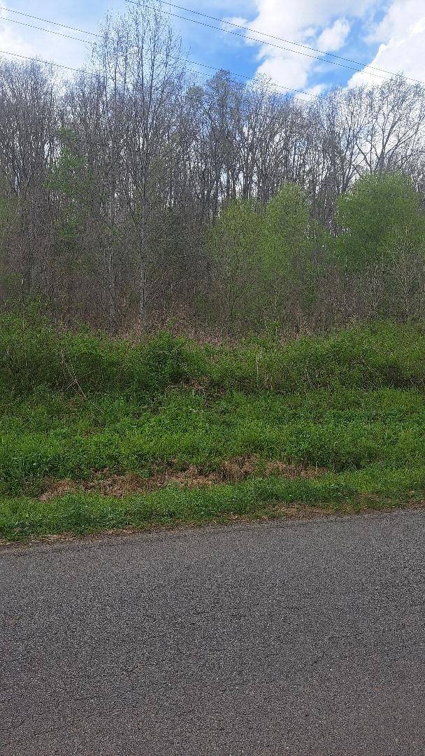 0 Napier Rd, Hohenwald, TN 38462