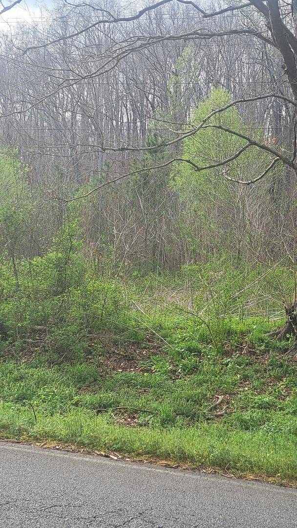0 Napier Rd, Hohenwald, TN 38462