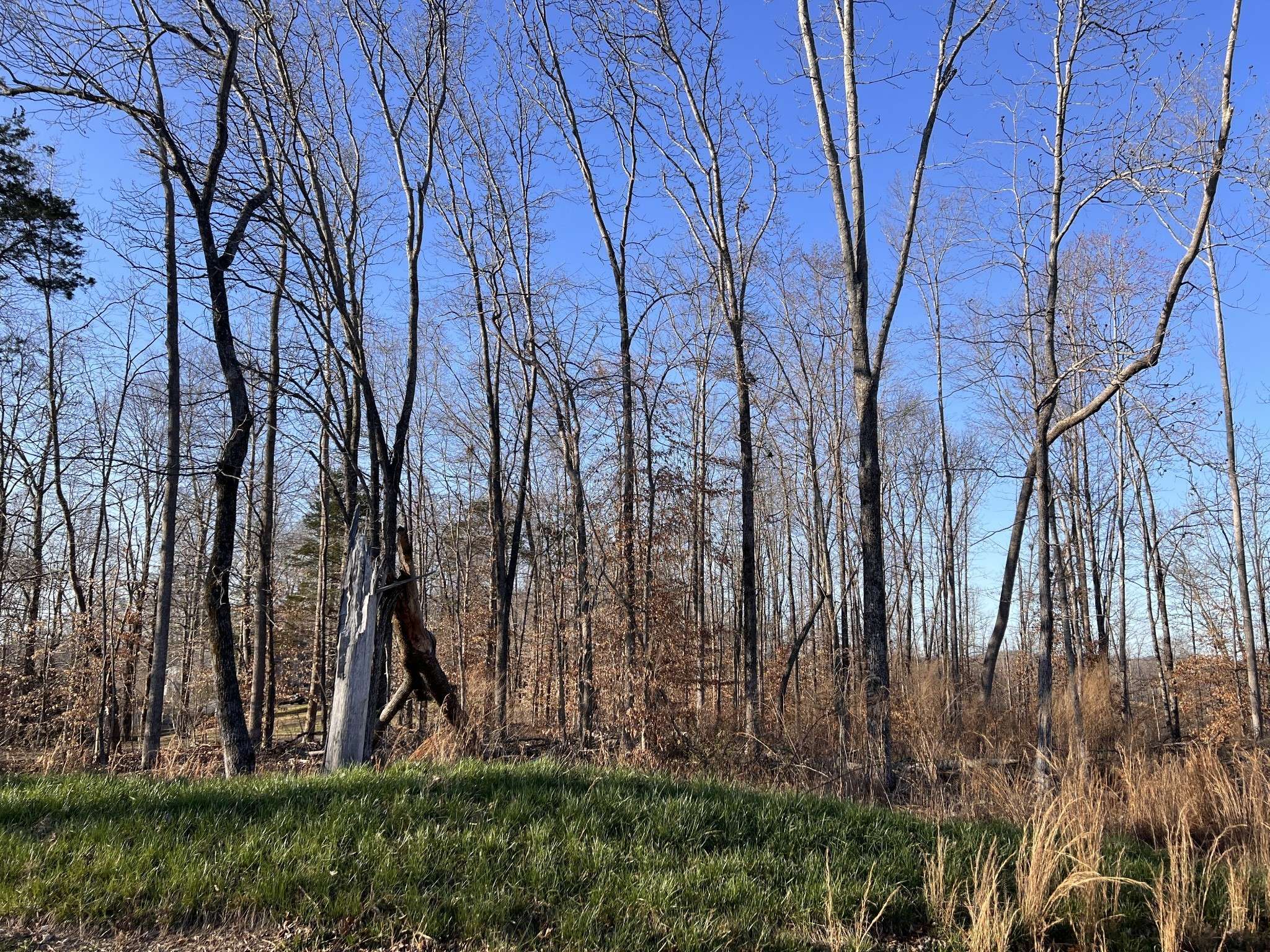1 Water Ridge Dr, Sparta, TN 38583