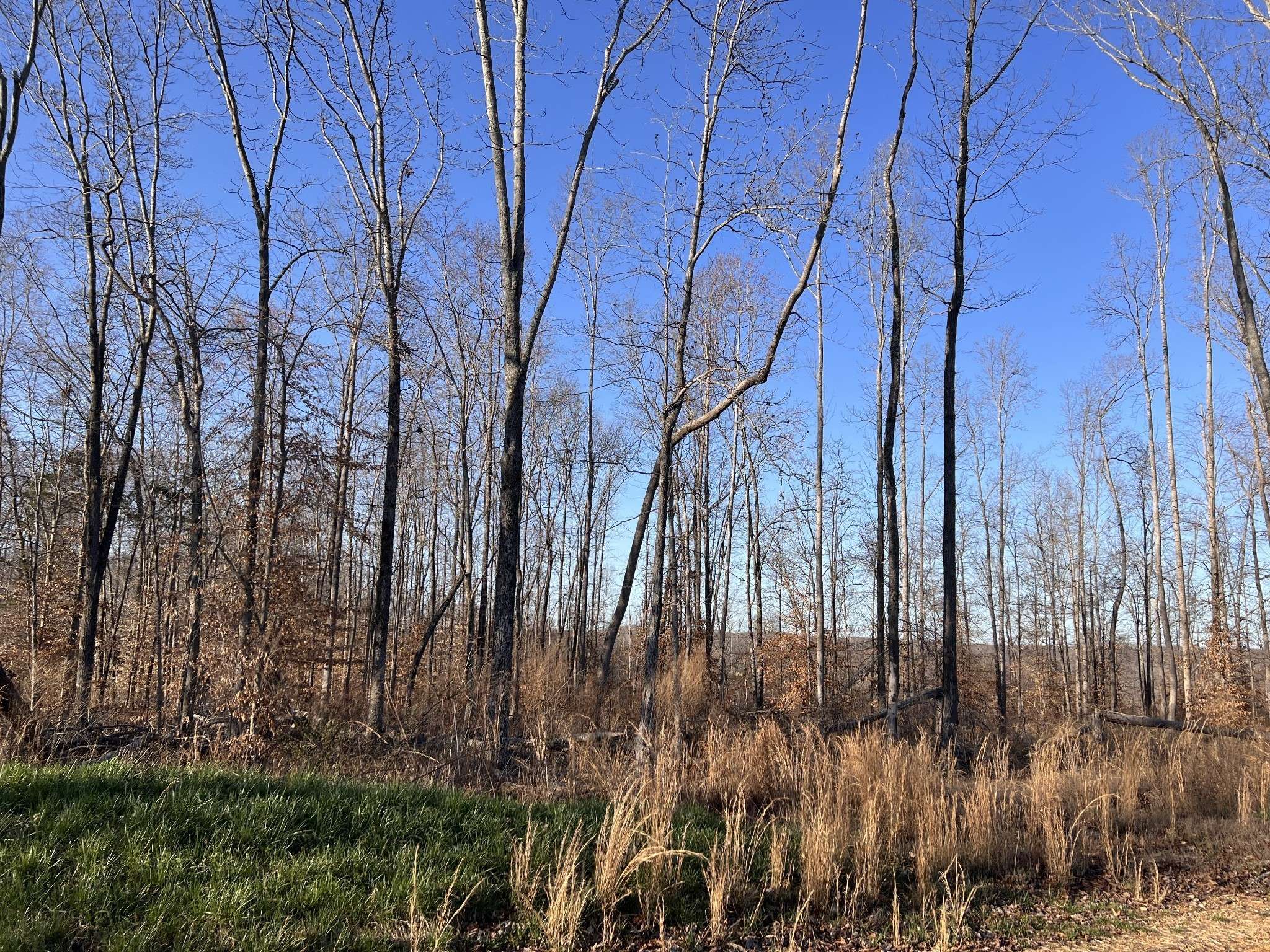 1 Water Ridge Dr, Sparta, TN 38583