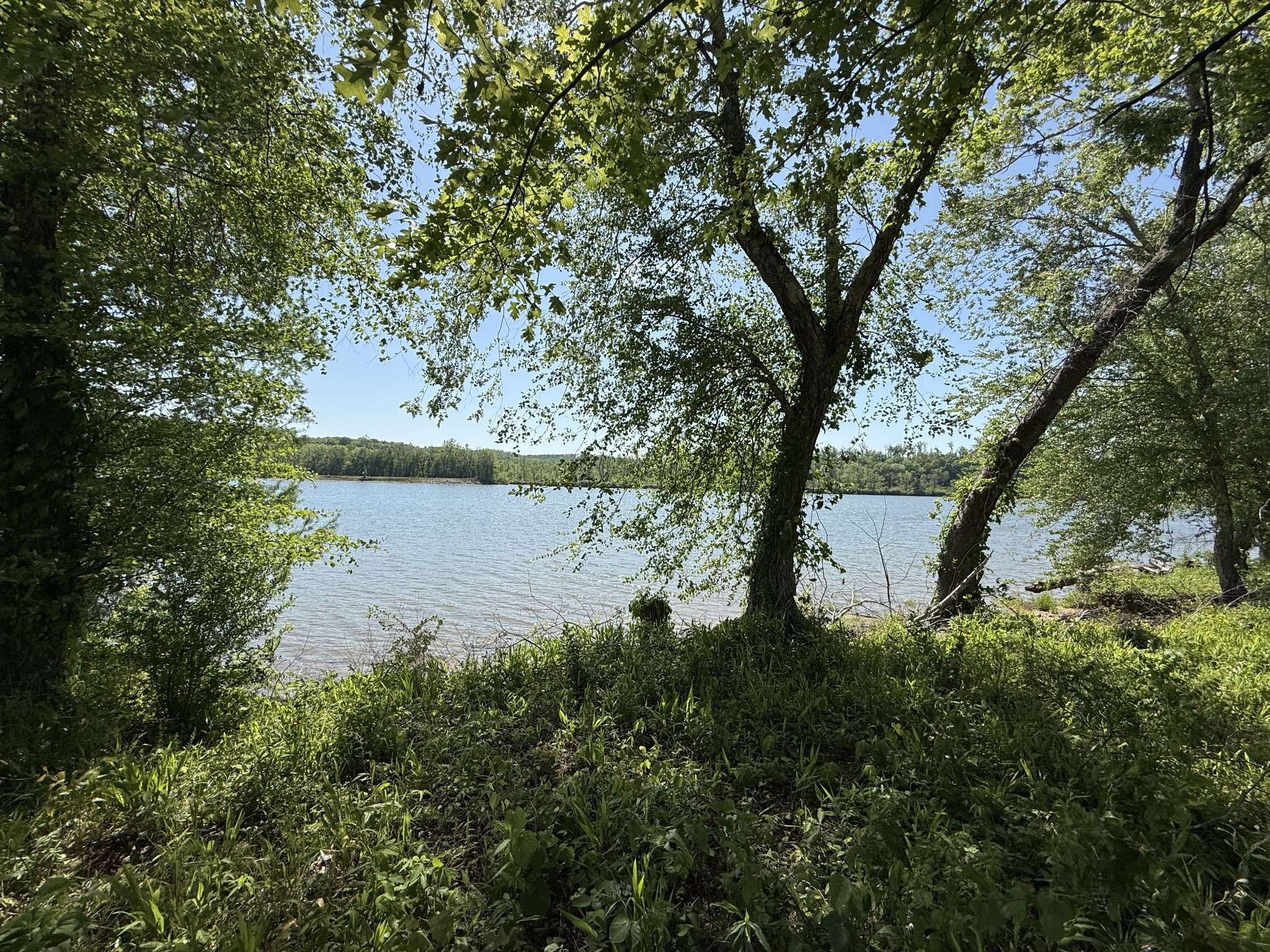 461 Hardin Bottom Rd, Clifton, TN 38425