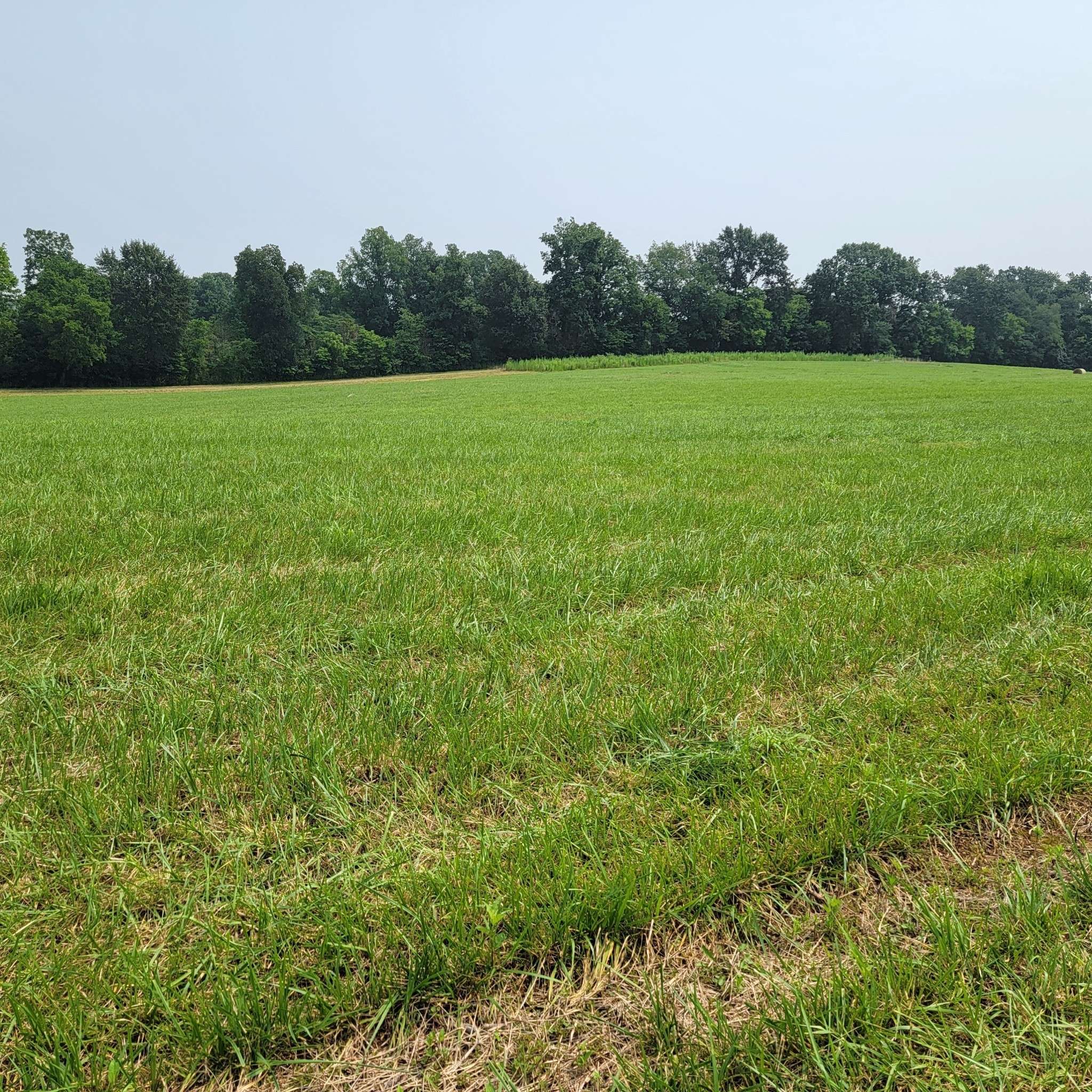 0 Red River School Rd, Portland, TN 37148