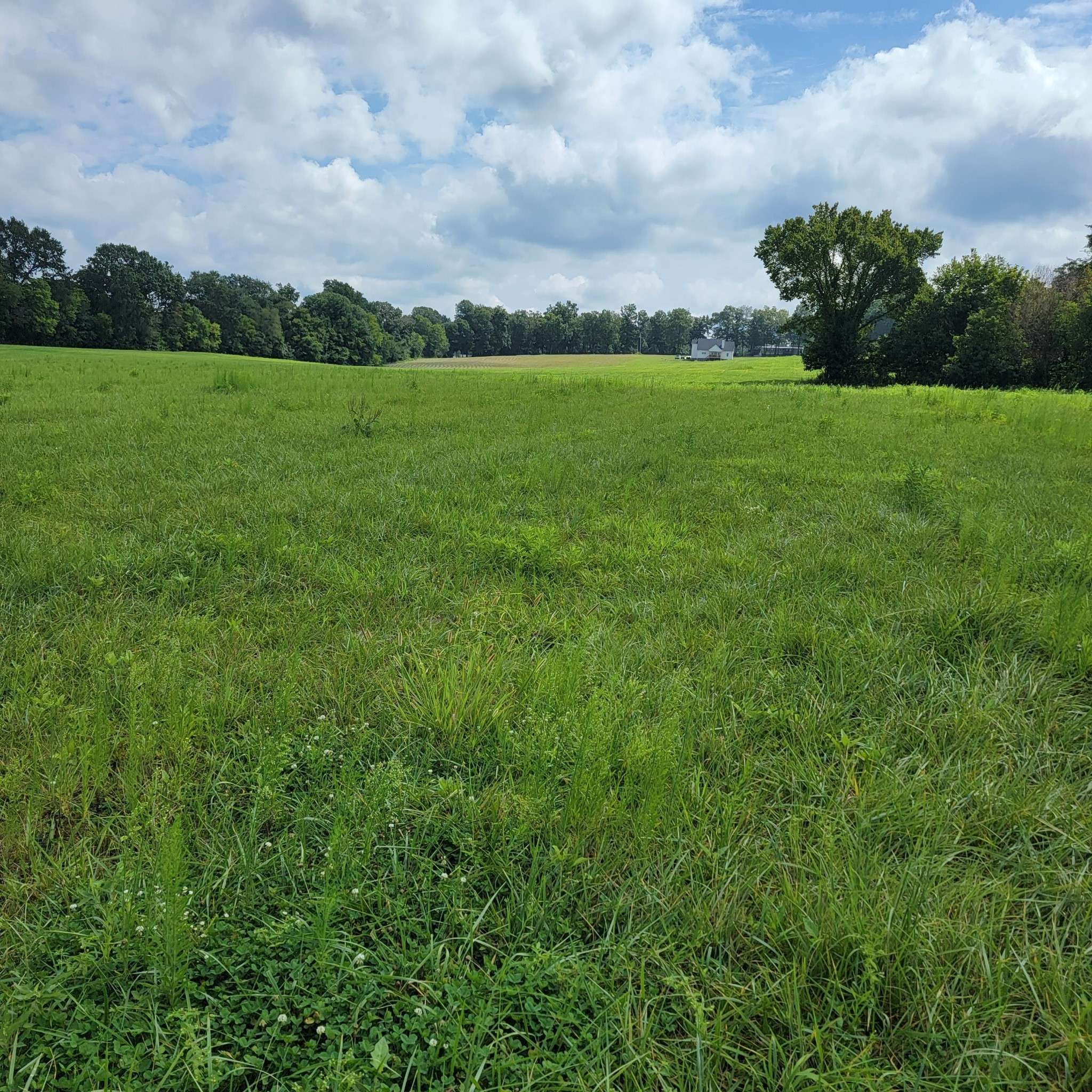0 Red River School Rd, Portland, TN 37148