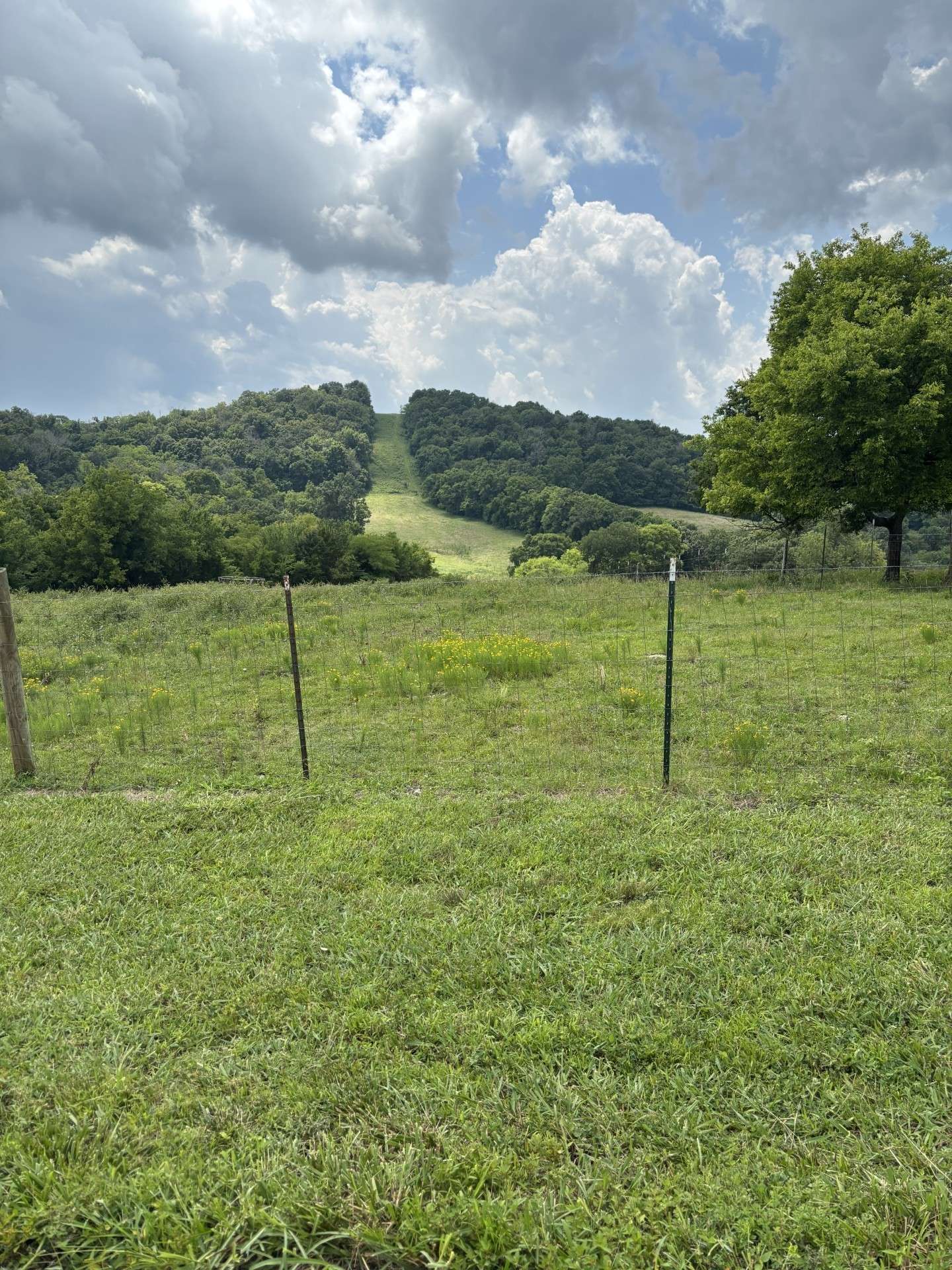 0 Nolensville, Nolensville, TN 37135