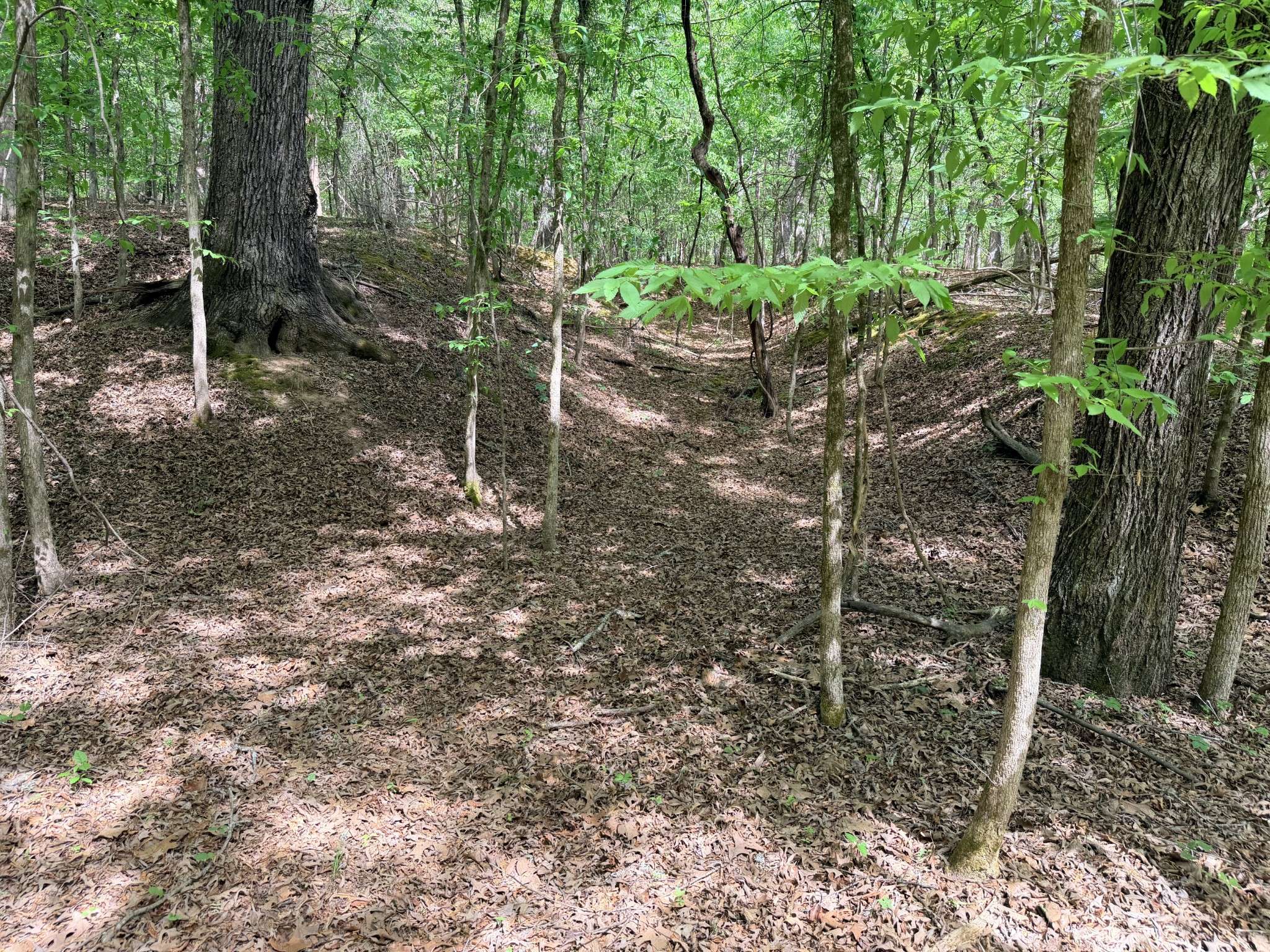 496 Gin Pond Drive, Saulsbury, TN 38067