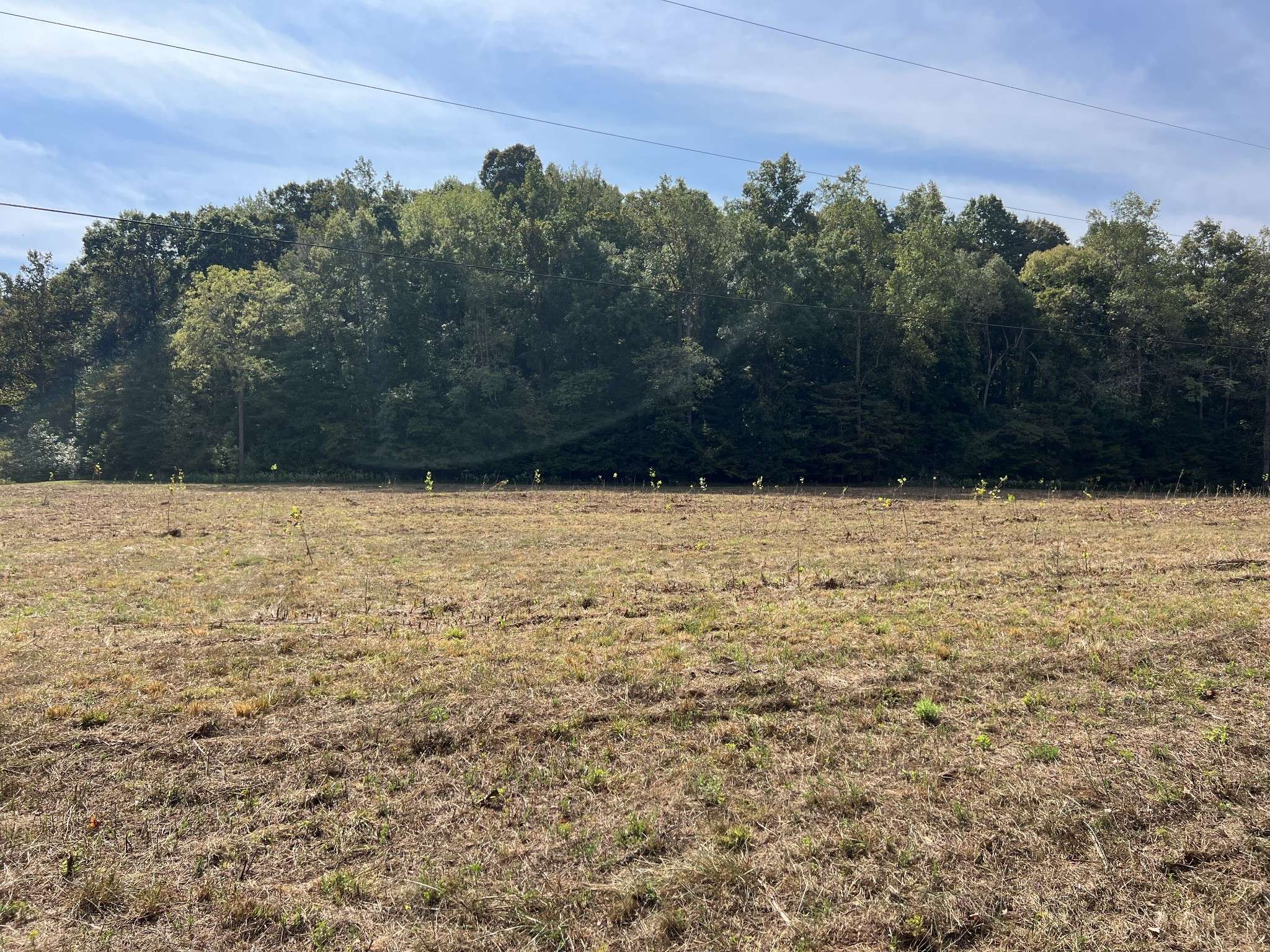 0 Cox Hollow, Dover, TN 37058