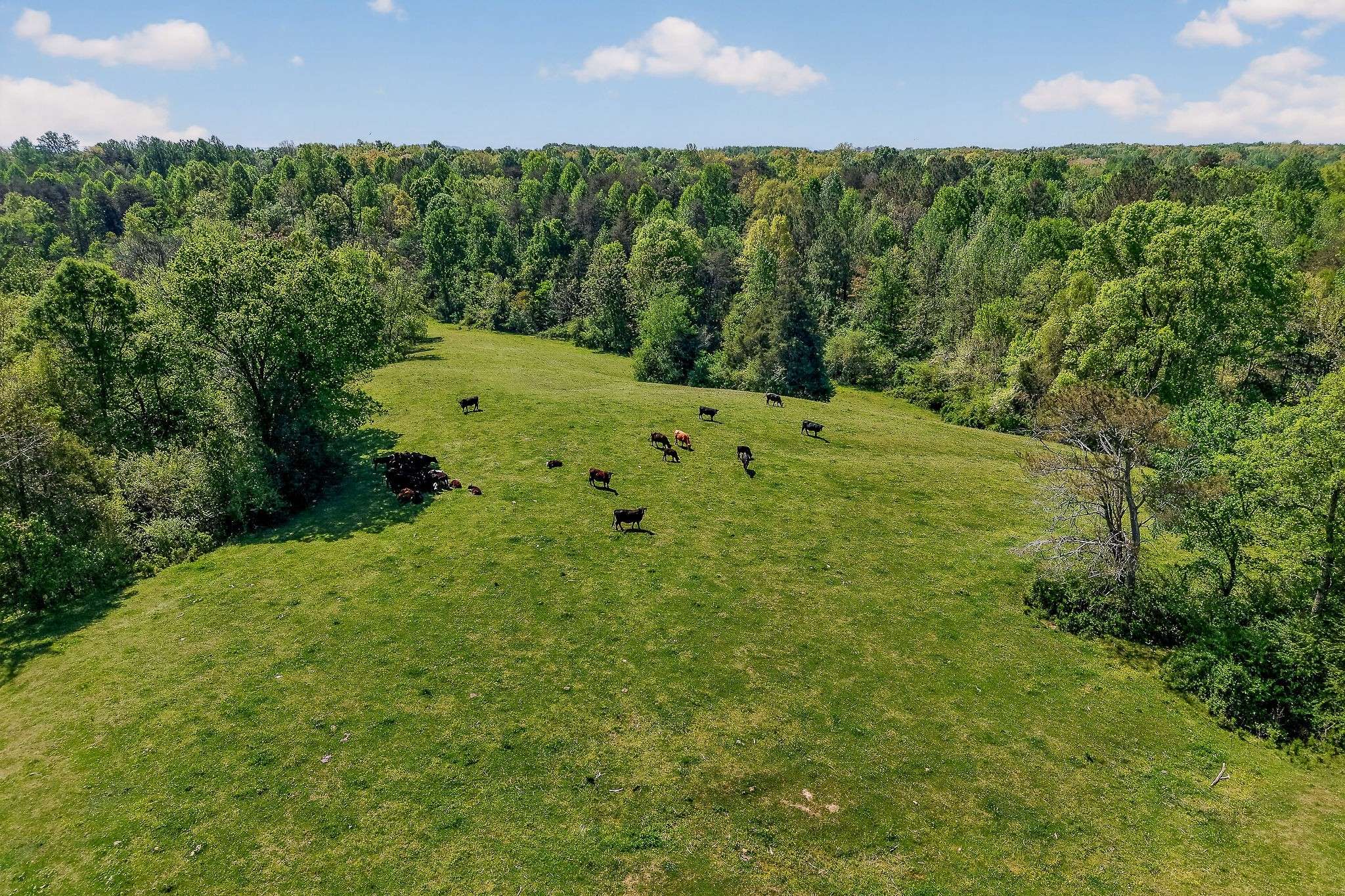 0 Corinth Church Rd, Rock Island, TN 38581