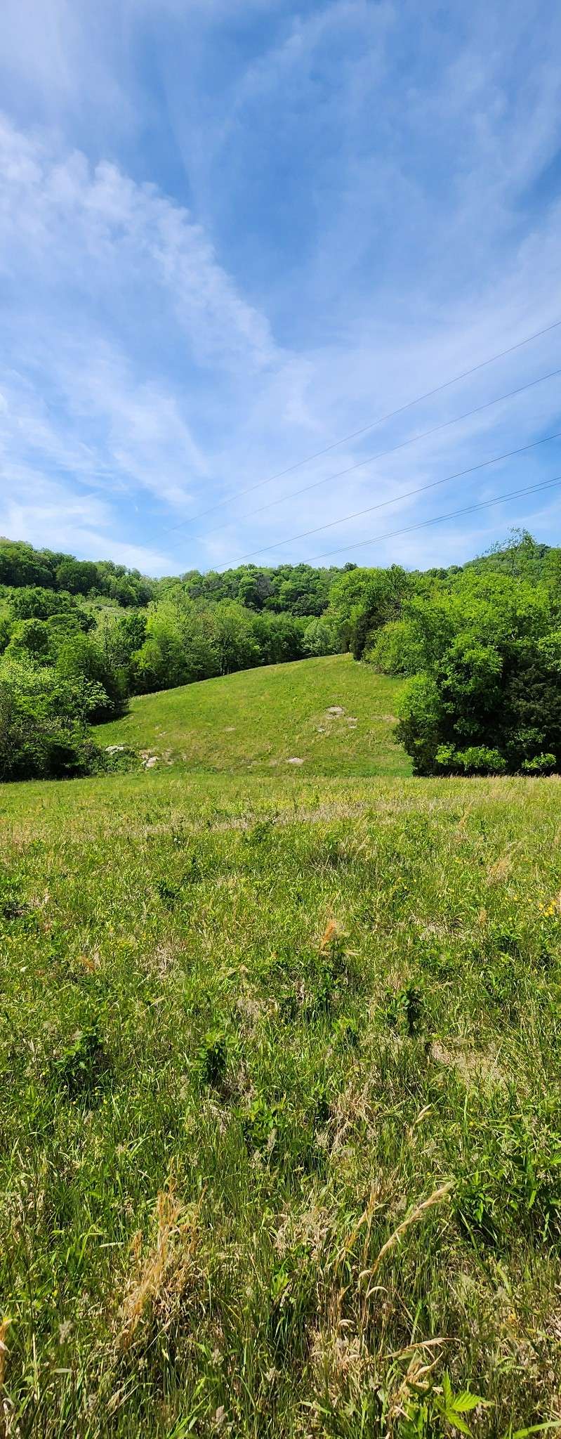 0 Lower Helton Rd, Liberty, TN 37095